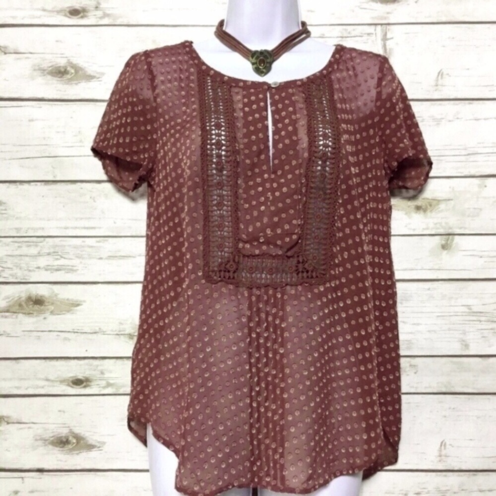 Sheer Brown Grassland Blouse by Meadow Rue Anthro